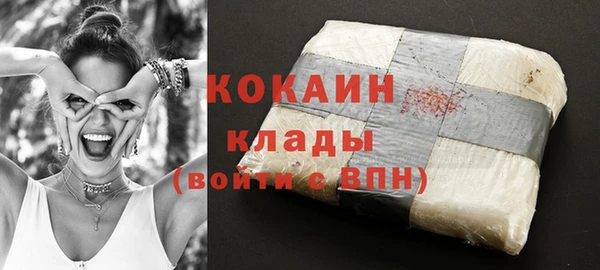 гидра Дмитриев