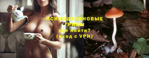 таблы Дмитровск