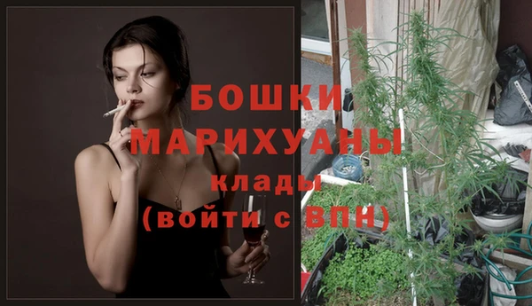 гидра Дмитриев