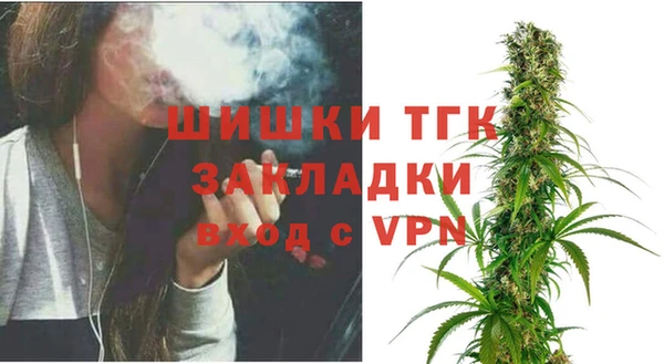 гидра Дмитриев